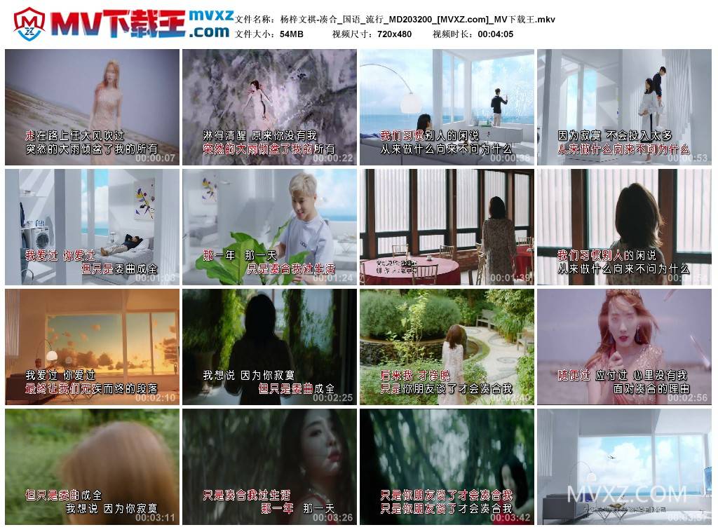 杨梓文祺-凑合_国语_流行_MD203200
